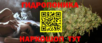 ECSTASY Нальчик