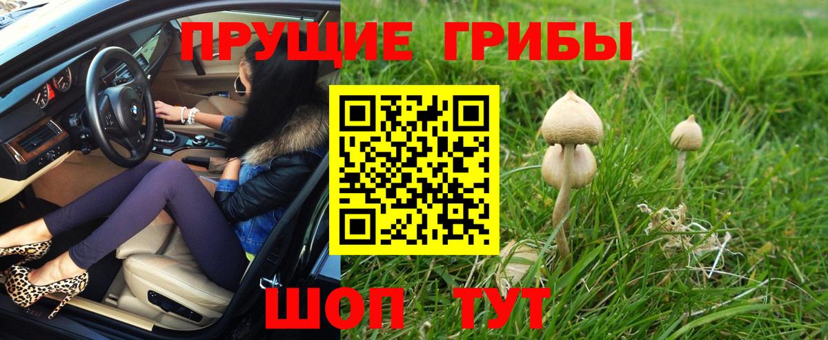 Феодосия  Псилоцибиновые грибы Psilocybe  Вход с VPN 