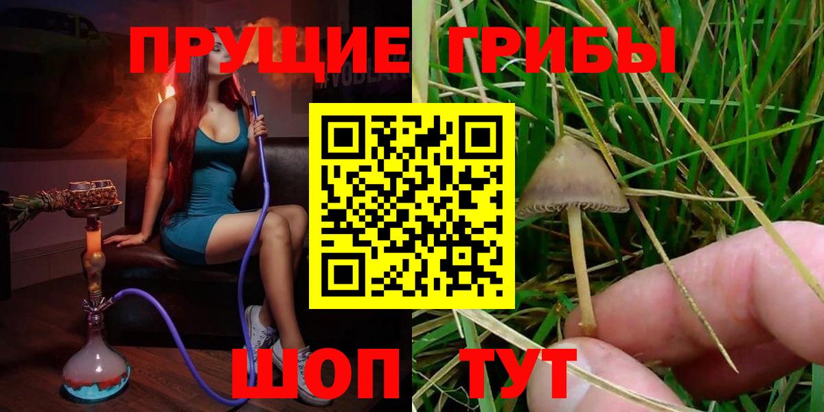Псилоцибиновые грибы прущие грибы Феодосия